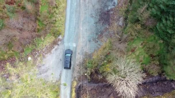 4x4 пикап транспортных средств, движущихся через лес - все марки удалены — стоковое видео