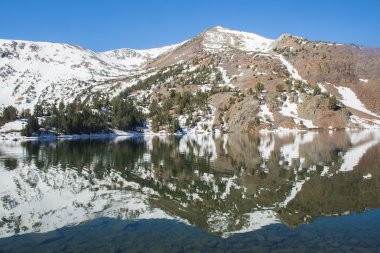 Büyük Virginia Gölü güzel canlı yansıma