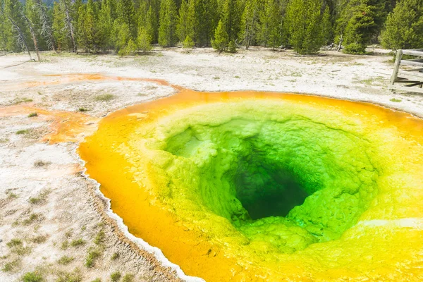 Piscine géothermique dans le parc national Yellowstone — Photo