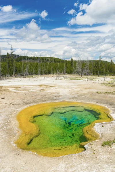 Piscina geotermal en el Parque Nacional de Yellowstone —  Fotos de Stock