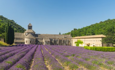 Fransa'da Gordes yakınındaki Senanque Abbey