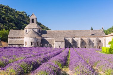 Fransa'da Gordes yakınındaki Senanque Abbey