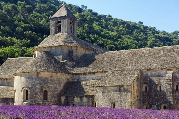 Senanque Abbey in de buurt van Gordes in Frankrijk — Stockfoto