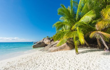 Anse Lazio beach
