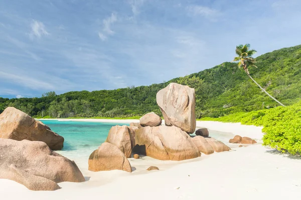 Anse Coco Strand — Stockfoto