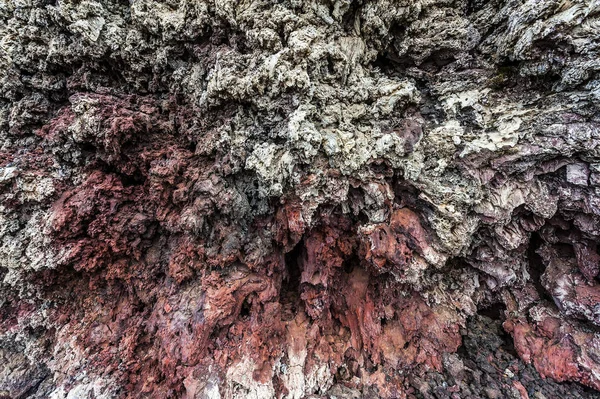Detalhe da lava na Islândia — Fotografia de Stock