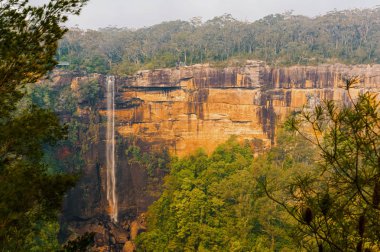 Fitzroy Falls Morton Milli Parkı