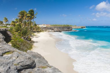 Alt Bay: Barbados