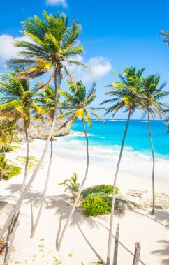 Alt Bay: Barbados