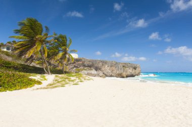 Alt Bay: Barbados