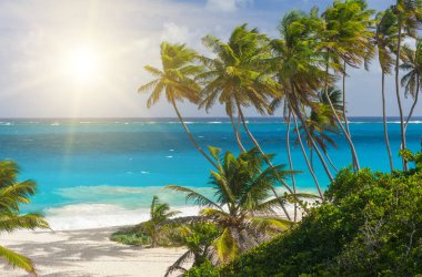 Alt Bay: Barbados