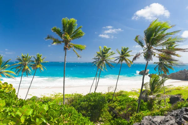 Nedre Bay i Barbados — Stockfoto