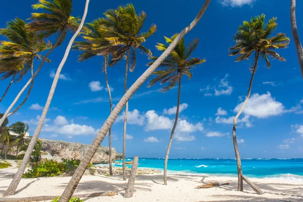 Onderste Bay in Barbados — Stockfoto