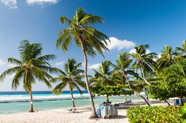 Prachtig strand van Barbados — Stockfoto