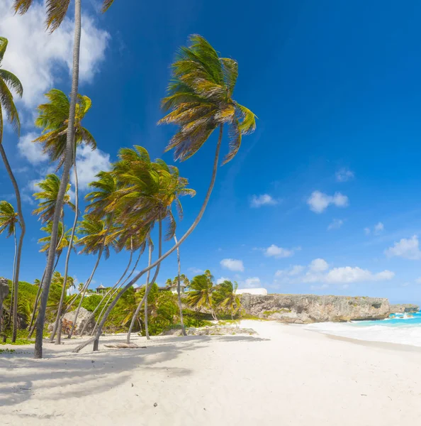 Bottom Bay in Barbados — Stock Photo, Image