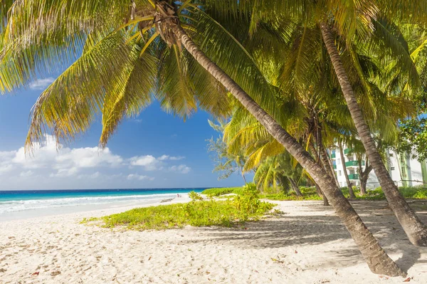 Pláž v Barbadosu — Stock fotografie