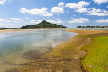 Mount Paku Yeni Zelanda