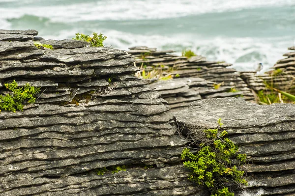 Detalhe da rocha da panqueca em Punakaiki — Fotografia de Stock