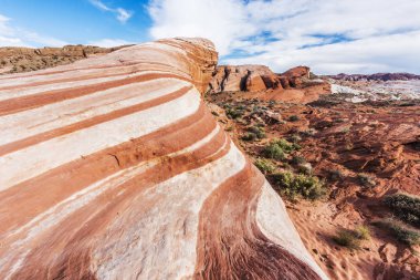 Yangın dalga ABD'de