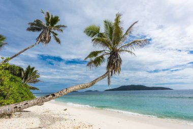 Anse Petite de Seyşeller