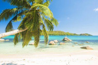 Anse Boudin in the Seychelles clipart