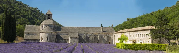 Senanque Abbey, Provence-ban — Stock Fotó