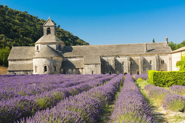 Senanque Abbey Provence