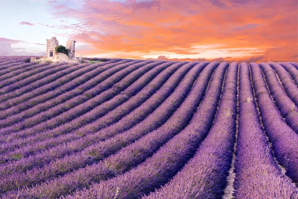 Pôr do sol em Provence — Fotografia de Stock