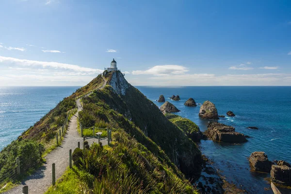 Nugget Point in the New Zealand — Stock Photo, Image