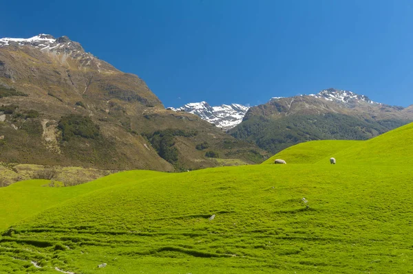 Montagnes de Nouvelle Zélande — Photo