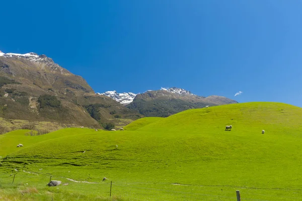 New Zealand mountains — Stock Photo, Image