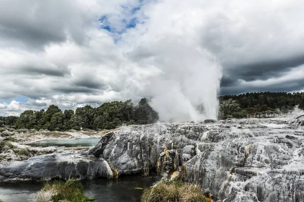 Géiseres de Pohutu y Príncipe de Gales — Foto de Stock