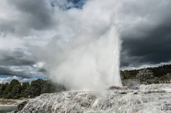 Pohutu ve Galler Prensi geysers — Stok fotoğraf