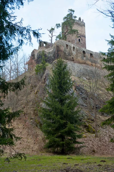 Gutstejn w Czechach — Zdjęcie stockowe