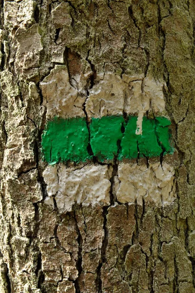 Yeşil turist işaretinizle geri sayıma bir ağaç gövdesi — Stok fotoğraf