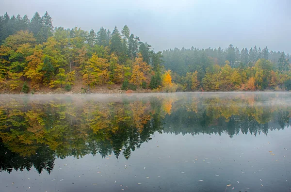 Reflexão florestal na República Checa — Fotografia de Stock