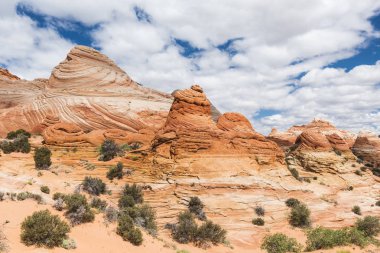 ABD'de çakal Buttes