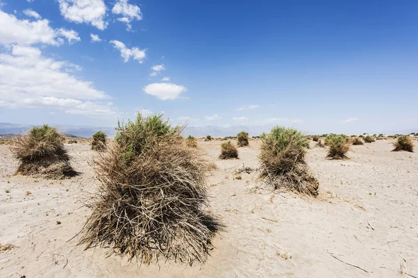 Devil's tuin in de VS — Stockfoto