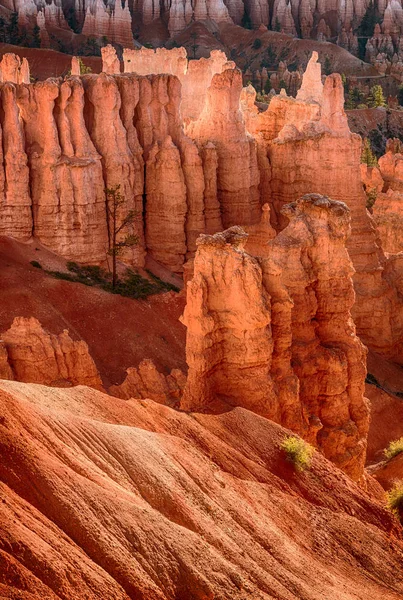 Bryce Canyon az USA-ban — Stock Fotó