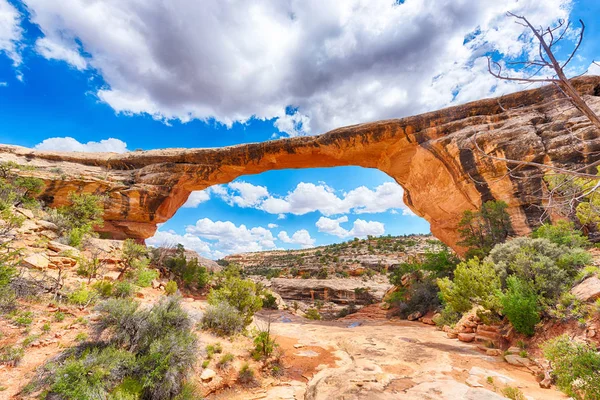 Owachomo Bridge i Usa — Stockfoto