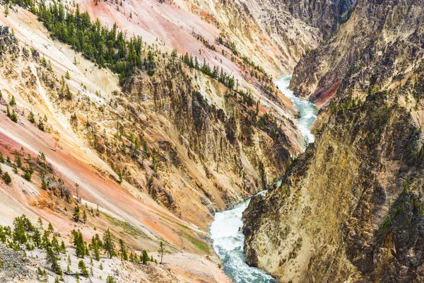 Grand canyon of yellowstone — Stock fotografie