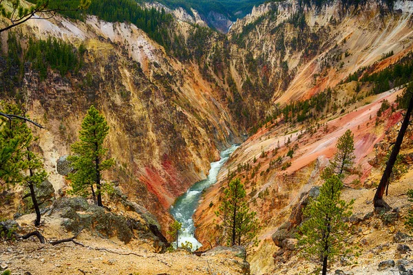 Grand Canyon de Yellowstone — Photo