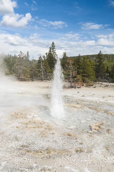 Στρίγγλα Geyser στις ΗΠΑ — Φωτογραφία Αρχείου