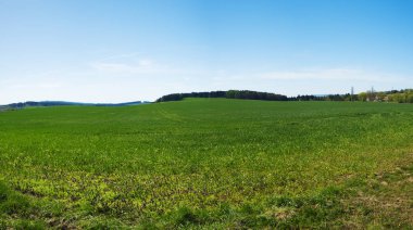 Bahar alan Çek Cumhuriyeti
