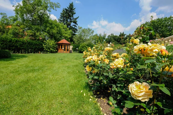 Bahçe gül ve lavanta