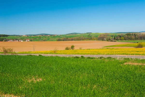 Bahar çayır Çek Cumhuriyeti — Stok fotoğraf
