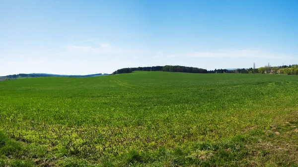 Bahar alan Çek Cumhuriyeti
