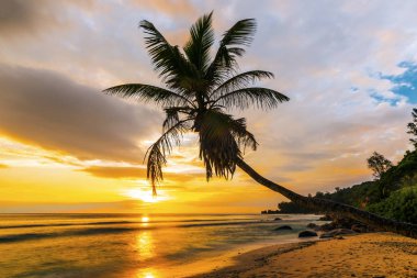 Denizin üzerinde güzel bir gün batımı