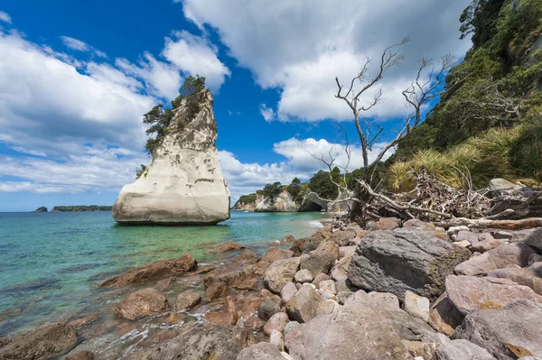 Коромандель в Новой Зеландии — стоковое фото