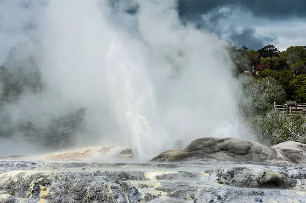 Pohutu och prince of wales gejsrar — Stockfoto